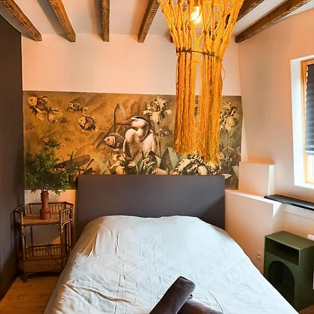 Daire San Home's Anvers