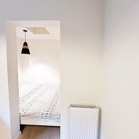 San Home's Daire Anvers